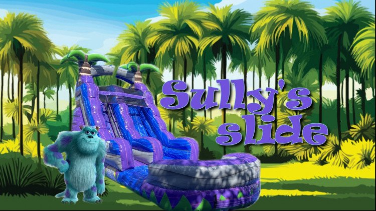 Sully 15' water slide